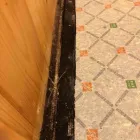 Business 63 image FLOOD PROS USA Mold Testing & Removal in Winter Park FL