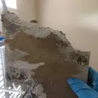 Business 70 image FLOOD PROS USA Mold Testing & Removal in Winter Park FL