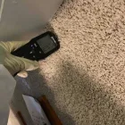 Business 71 image FLOOD PROS USA Mold Testing & Removal in Winter Park FL