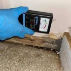 Business 74 image FLOOD PROS USA Mold Testing & Removal in Winter Park FL
