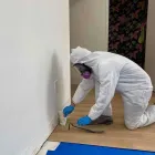 Business 75 image FLOOD PROS USA Mold Testing & Removal in Winter Park FL