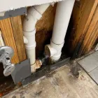 Business 80 image FLOOD PROS USA Mold Testing & Removal in Winter Park FL