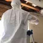 Business 81 image FLOOD PROS USA Mold Testing & Removal in Winter Park FL