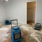 Business 84 image FLOOD PROS USA Mold Testing & Removal in Winter Park FL