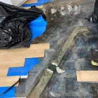 Business 85 image FLOOD PROS USA Mold Testing & Removal in Winter Park FL