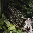 Business 19 image FLORA'S MARKET RUN Restaurants in Tucson in Tucson AZ