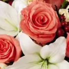 Business 1 image FLORAL MASTERS Party & Event Planners in Seattle WA