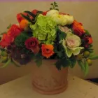 Business 5 image FLOWER BOWL FLORIST Plants in Walnut Creek CA