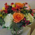 Business 6 image FLOWER BOWL FLORIST Plants in Walnut Creek CA
