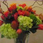 Business 8 image FLOWER BOWL FLORIST Plants in Walnut Creek CA