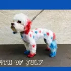 Business 3 image FON JON PET CARE CENTER Temporary in San Diego CA