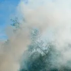 Business 1 image FOURTH GATE SMOKE DAMAGE EXPERTS Fire & Water Damage Restoration in Livonia IN