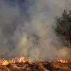 Business 11 image FOURTH GATE SMOKE DAMAGE EXPERTS Fire & Water Damage Restoration in Livonia IN