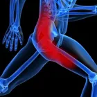 Business 1 image FOX CHIROPRACTIC Chiropractors & Chiropractic Services in Portland OR