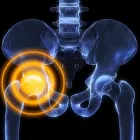 Business 9 image FOX CHIROPRACTIC Chiropractors & Chiropractic Services in Portland OR