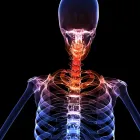 Business 10 image FOX CHIROPRACTIC Chiropractors & Chiropractic Services in Portland OR