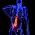 Business 2 image FOX CHIROPRACTIC Chiropractors & Chiropractic Services in Portland OR