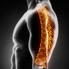 Business 4 image FOX CHIROPRACTIC Chiropractors & Chiropractic Services in Portland OR
