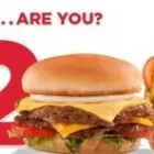 Business 3 image FREDDY'S FROZEN CUSTARD & STEAKBURGERS - AURORA - CORNERSTAR New American Restaurant in Aurora CO