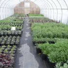 Business 10 image FREDDY'S LANDSCAPING Westchester County in Norwalk CT