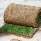 Business 1 image FREMONT LAWN AND LANDSCAPING Landscaping in Fremont CA