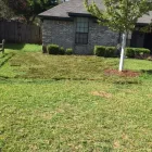Business 4 image FRESH CUT LANDSCAPE & TREE SERVICES Tree Trimming Service in North Richland Hills TX