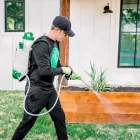 Business 2 image FRESH PEST & MOSQUITO CONTROL in Georgetown TX