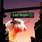 Business 4 image FULL HOUSE WEB MARKETING Website Developer in Las Vegas NV