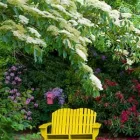 Business 1 image GARY'S TREE SERVICE & STUMP REMOVAL in Apple Valley CA