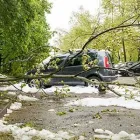 Business 4 image GARY'S TREE SERVICE & STUMP REMOVAL in Apple Valley CA
