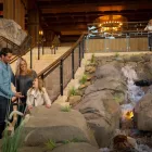 Business 19 image GAYLORD ROCKIES RESORT & CONVENTION CENTER in Aurora CO