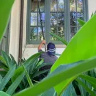 Business 2 image GEEK WINDOW CLEANING in Austin TX