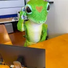 Business 14 image GEICO INSURANCE AGENT Standard Insurance Agency in Laguna Niguel CA