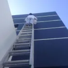 Business 11 image GENESIS PAINTING CORP Roof Cleaning in Miami FL
