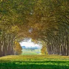 Business 1 image GENESIS WEALTH MANAGEMENT in Austin TX