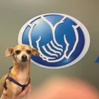 Business 4 image GEORGE CARRANZA: ALLSTATE INSURANCE Home Insurance Quote in Denton TX