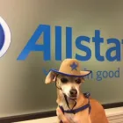 Business 8 image GEORGE CARRANZA: ALLSTATE INSURANCE Home Insurance Quote in Denton TX