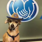 Business 9 image GEORGE CARRANZA: ALLSTATE INSURANCE Home Insurance Quote in Denton TX