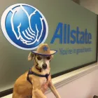 Business 10 image GEORGE CARRANZA: ALLSTATE INSURANCE Home Insurance Quote in Denton TX