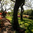 Business 2 image GEORGE SELF LAWN SERVICE LLC Commercial Landscaping in Richmond VA