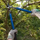 Business 3 image GEORGETOWN TREE AND STUMP SERVICE Tree Service Equipment & Supplies in Georgetown KY