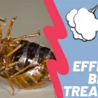 Business 1 image GEORGIA BEDBUG SOLUTIONS Pest Control Services in Mcdonough GA