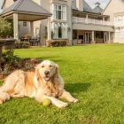 Business 1 image GILLYS LAWN MAINTENANCE Snow Removal Services in Missoula MT