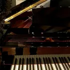 Business 6 image GIST PIANO CENTER Video & DVD Stores in Louisville KY