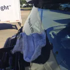 Business 29 image GLAS-TEK WINDSHIELD REPAIR ST. LOUIS Auto Glass Services in Saint Louis MO