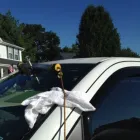 Business 51 image GLAS-TEK WINDSHIELD REPAIR ST. LOUIS Auto Glass Services in Saint Louis MO
