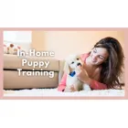 Business 1 image GO ANYWHERE DOG Dog Training in Minneapolis MN