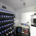 Business 16 image GOLDEN WEST COLLISION CENTER Auto Maintenance in Sunnyvale CA