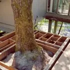 Business 7 image GOSANKO, O’HALLORAN, LEPORE PLLC Injury Attorney in Mercer Island WA