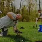 Business 1 image GOT MOLES? Real Estate Rental Service in Seattle WA